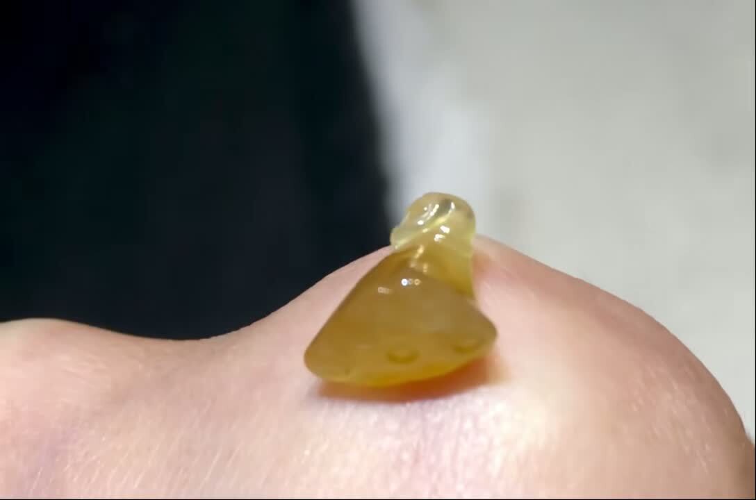 翡翠黃翡蓮蓬,天然翡翠A玉, 緬甸玉, Jade, Jadeite