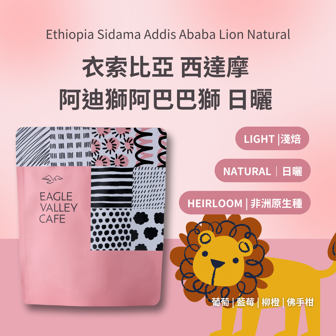 衣索比亞 西達摩 阿迪斯阿巴巴獅 日曬  淺焙 咖啡豆