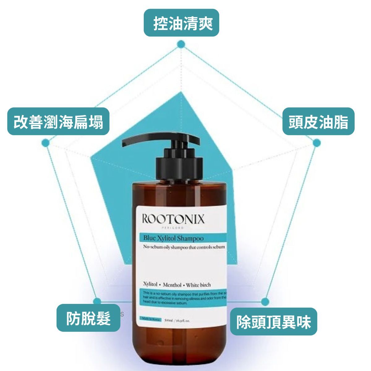 韓國ROOTONIX 控油防脫洗頭水Inflammatory Scalp Shampoo  500ml[香港代理]