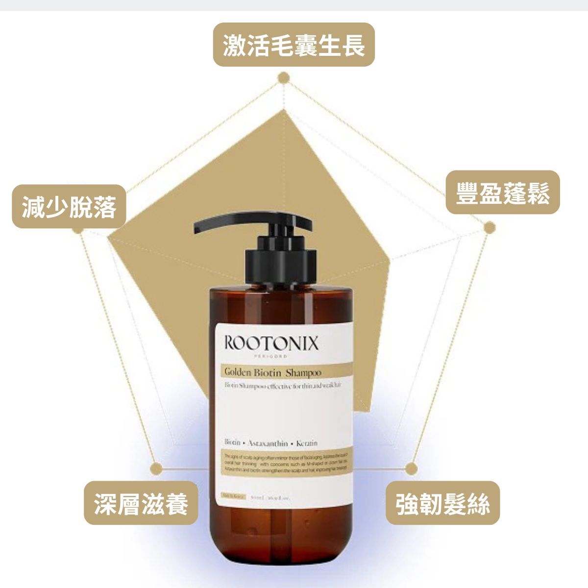 韓國ROOTONIX 皇牌 生髮防脫洗頭水   Hair loss volume shampoo  500ml[香港代理]