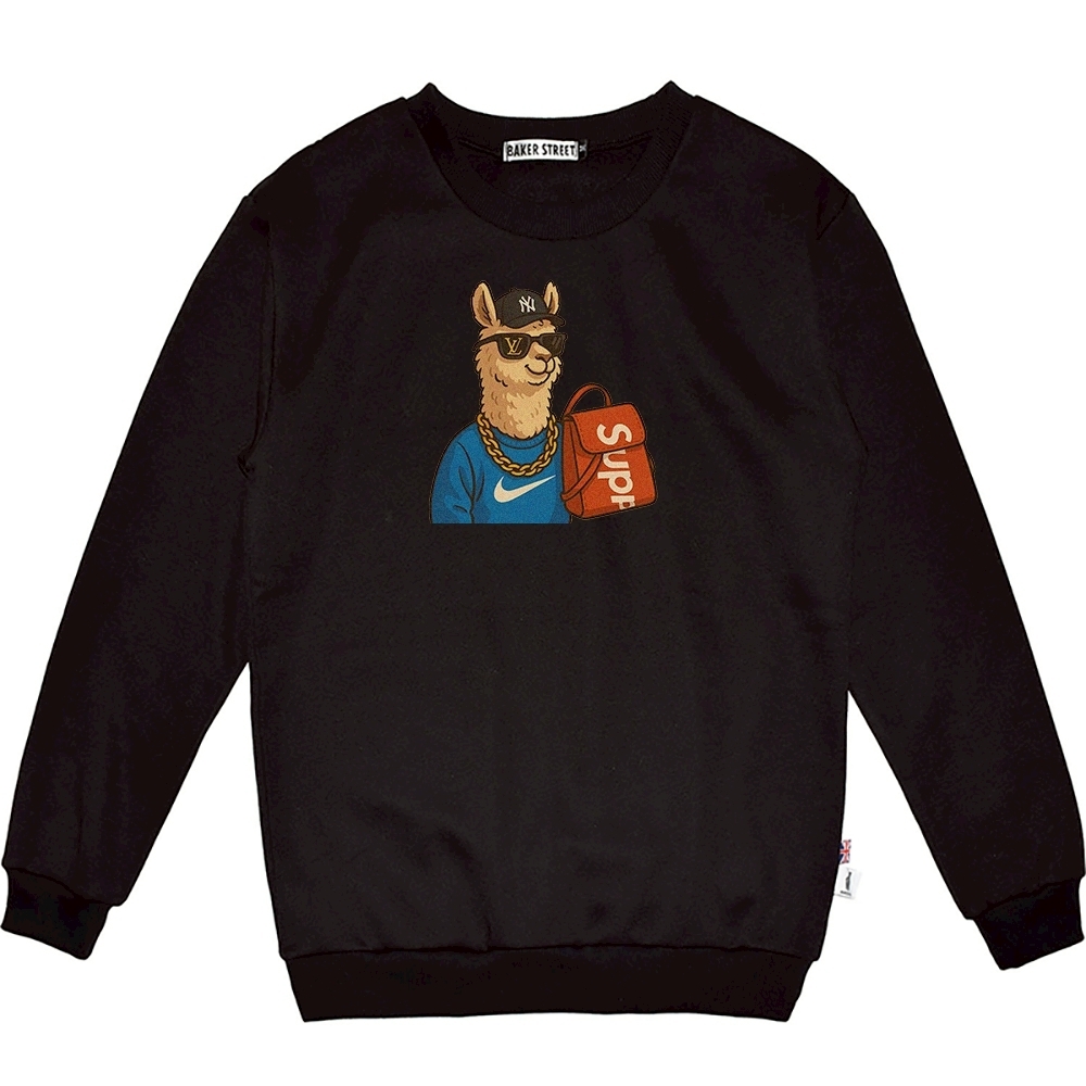 Luxrypaca精品駝 高磅數長袖圓T