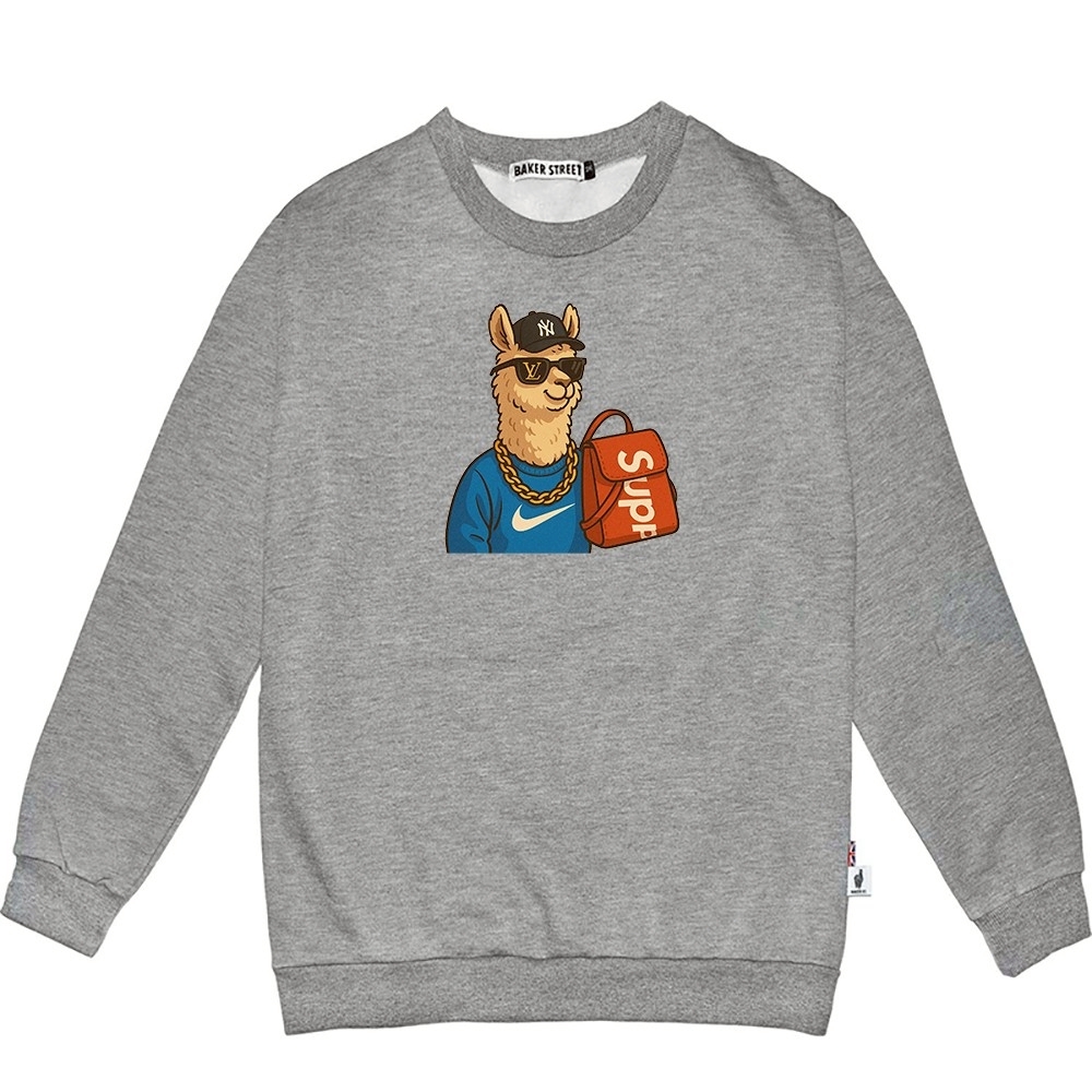 Luxrypaca精品駝 高磅數長袖圓T