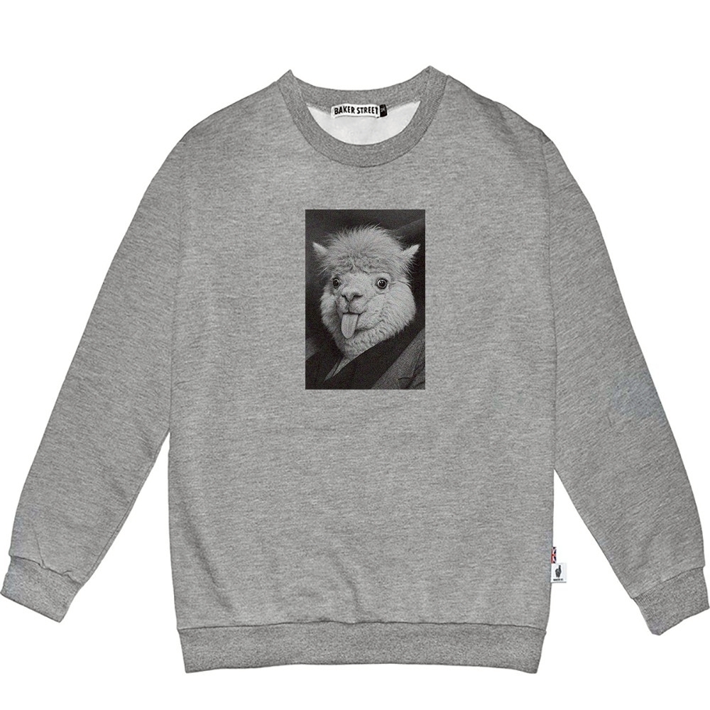 Einsteinpaca愛因斯駝 高磅數長袖圓T