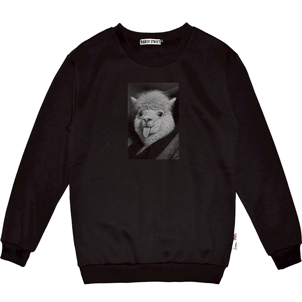 Einsteinpaca愛因斯駝 高磅數長袖圓T