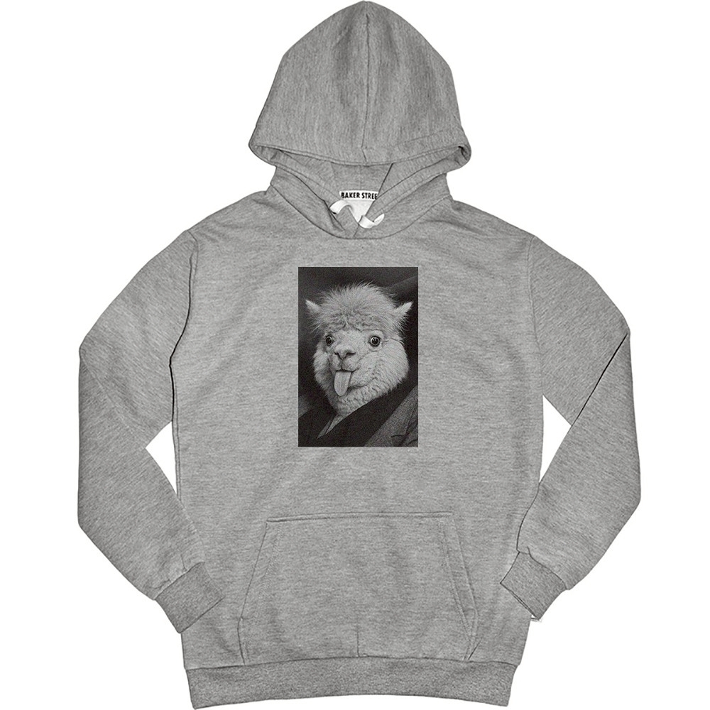 Einsteinpaca愛因斯駝 高磅數長袖帽T