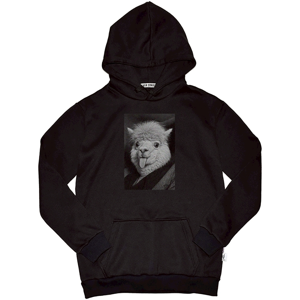 Einsteinpaca愛因斯駝 高磅數長袖帽T