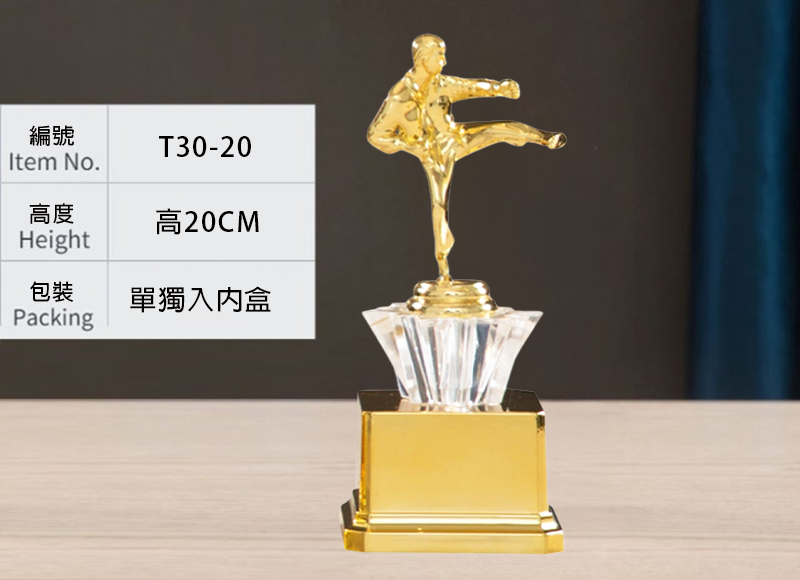 訂製武術跆拳道金底獎盃 升級送彩色排版金貼 T30