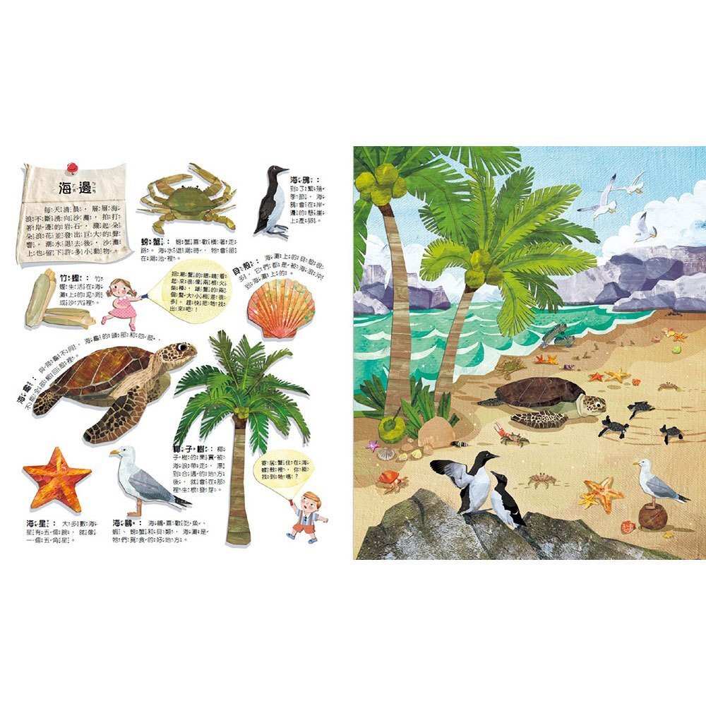 【樂森藥局】幼福文化 神奇膠片手電筒：海洋探祕