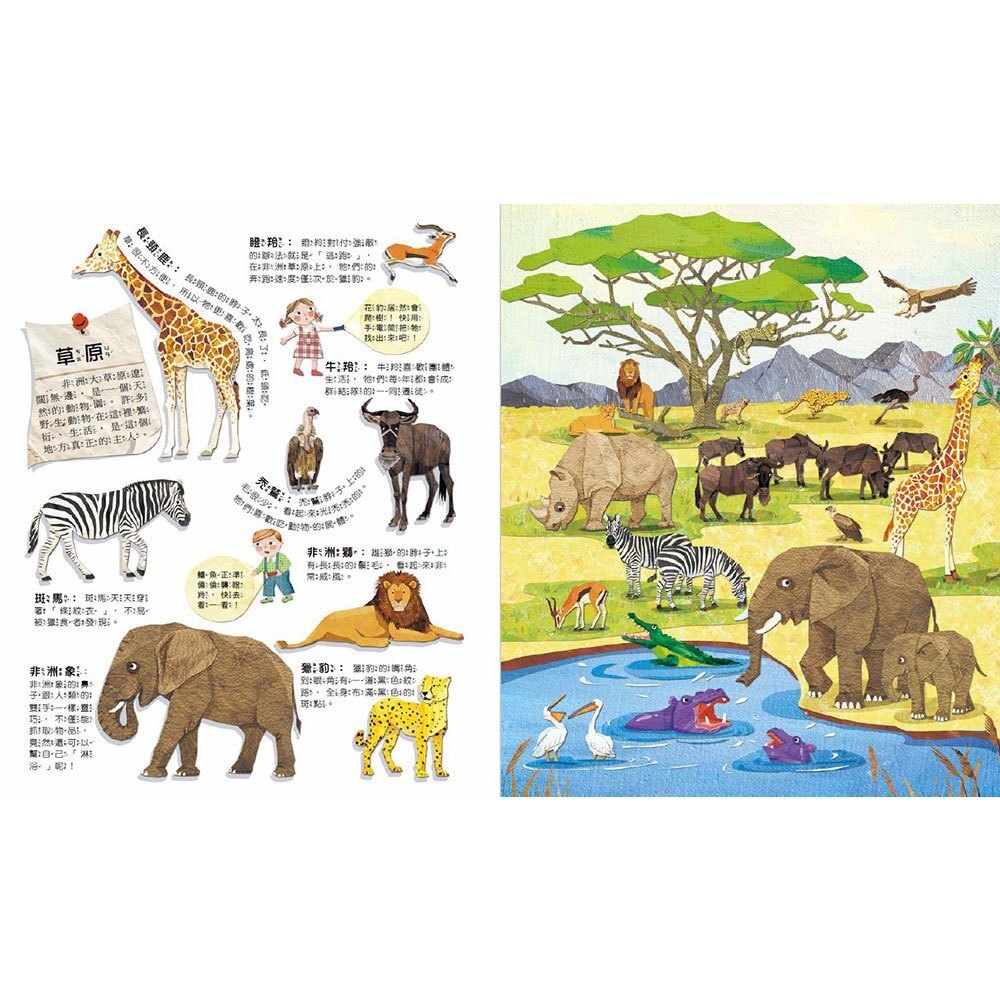 【樂森藥局】幼福文化 神奇膠片手電筒-野生動物