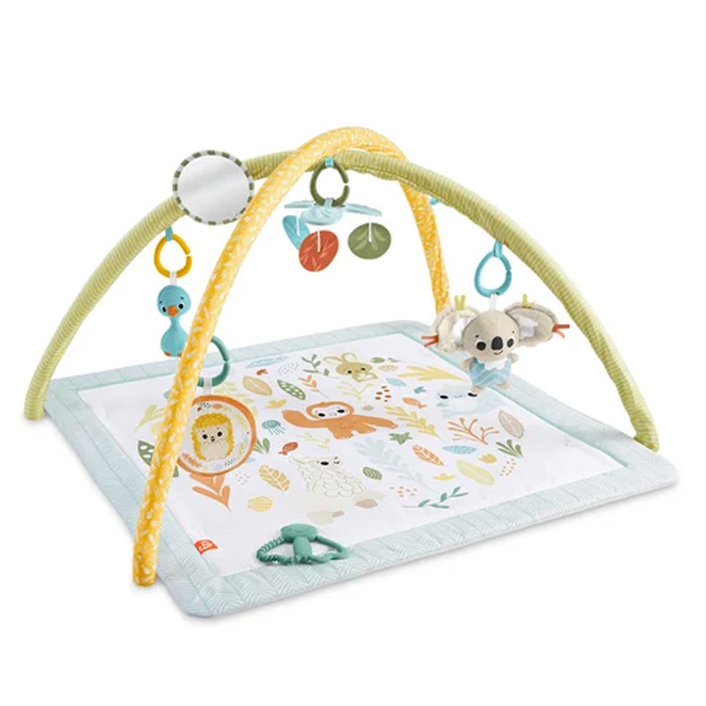 費雪基礎感官訓練健身器