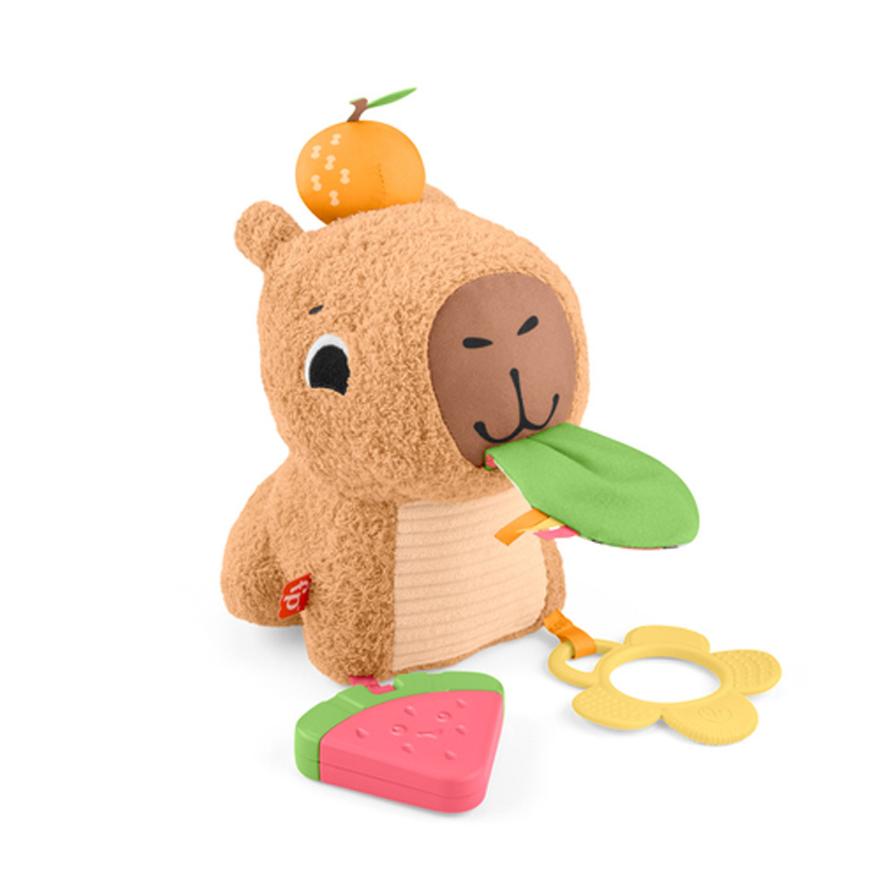 費雪安撫小水豚