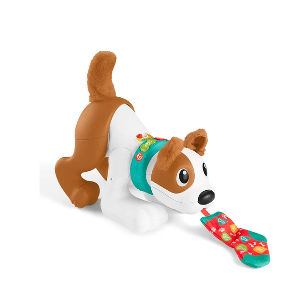 費雪可愛爬爬小狗