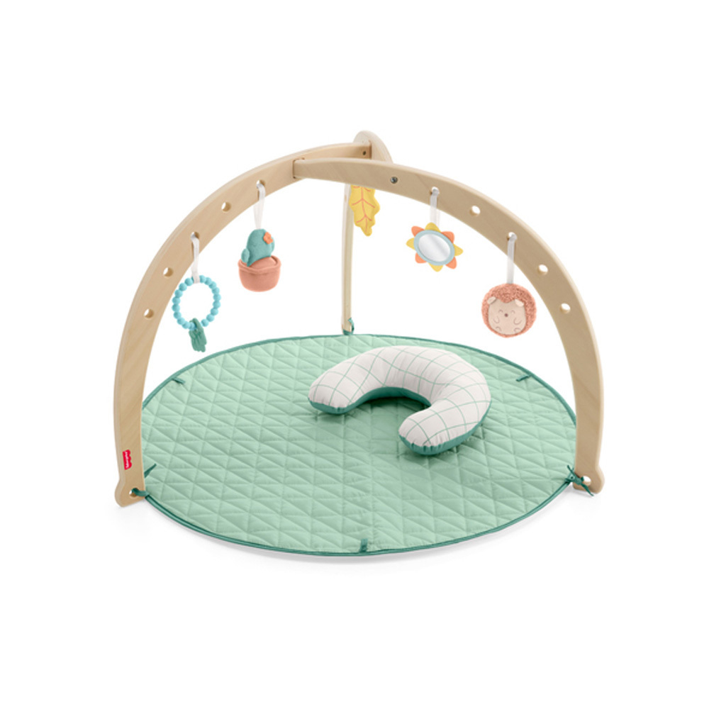 費雪木製叢林寶寶健身器