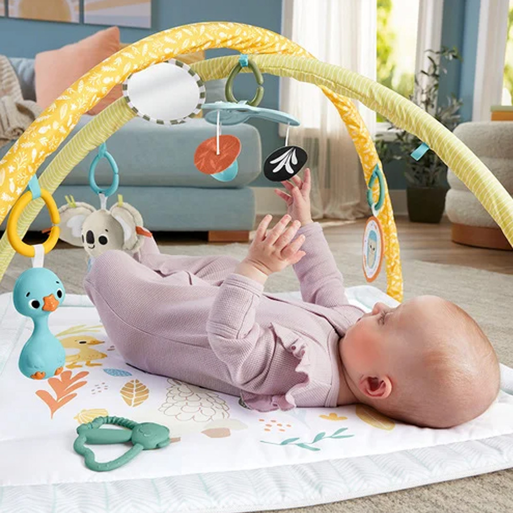 費雪基礎感官訓練健身器