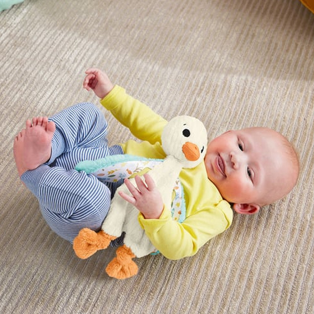 費雪抱抱小天鵝