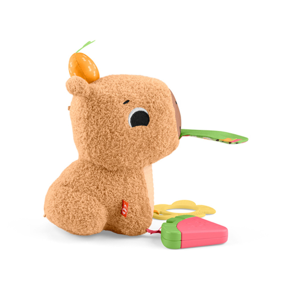 費雪安撫小水豚