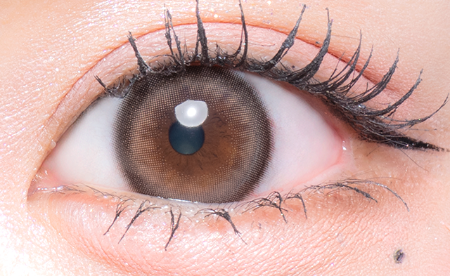 Flurry by colors 1 day Color Contact Lens 每日即棄有色隱形眼鏡(1DAY)(10片裝) Ring Large Brown