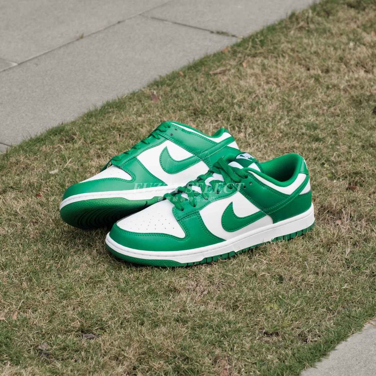 【逢甲 FUZZY】Nike Dunk Low "White Malachite" 孔雀綠 HF5441-101