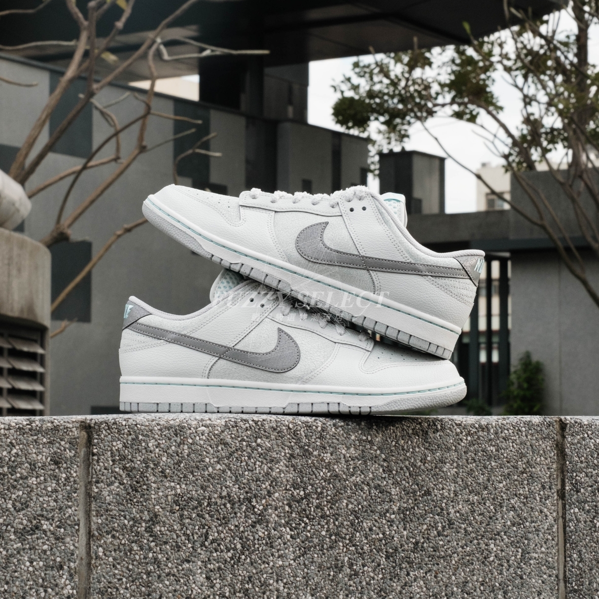 【逢甲 FUZZY】Nike Dunk Low "Winter Storm" 冬季風暴 反光 HQ3619-121