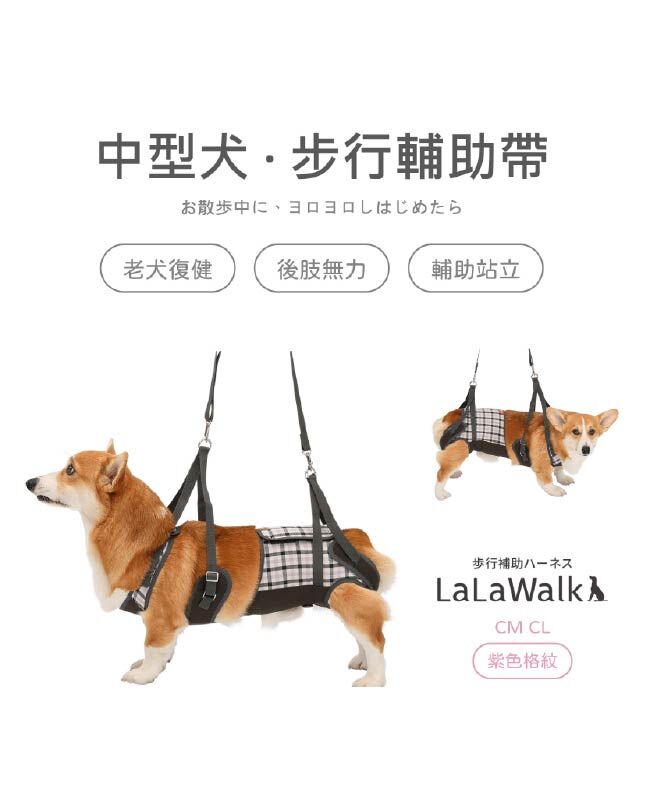 LaLaWalk 中型犬步行輔助帶 (紫色格紋)