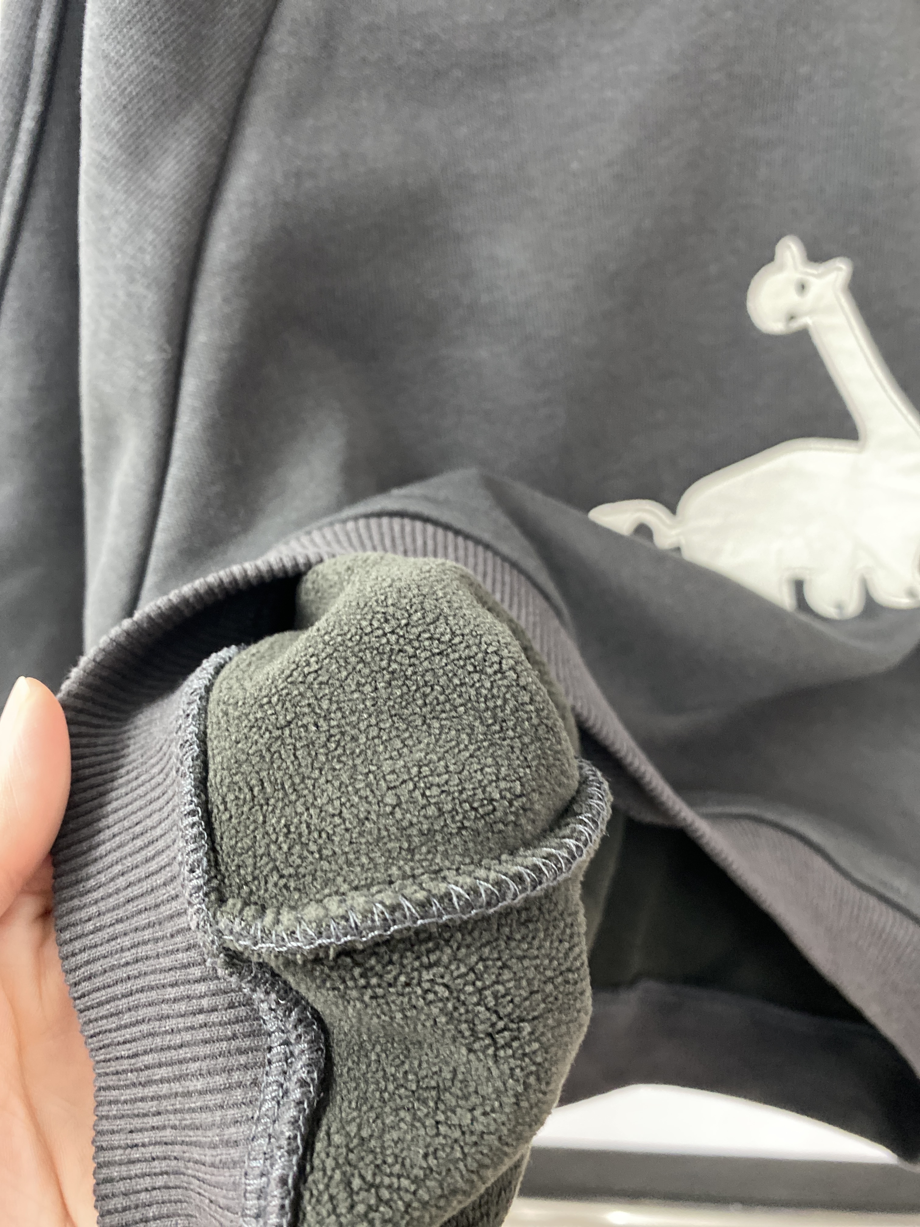 A03779加絨恐龍大學T