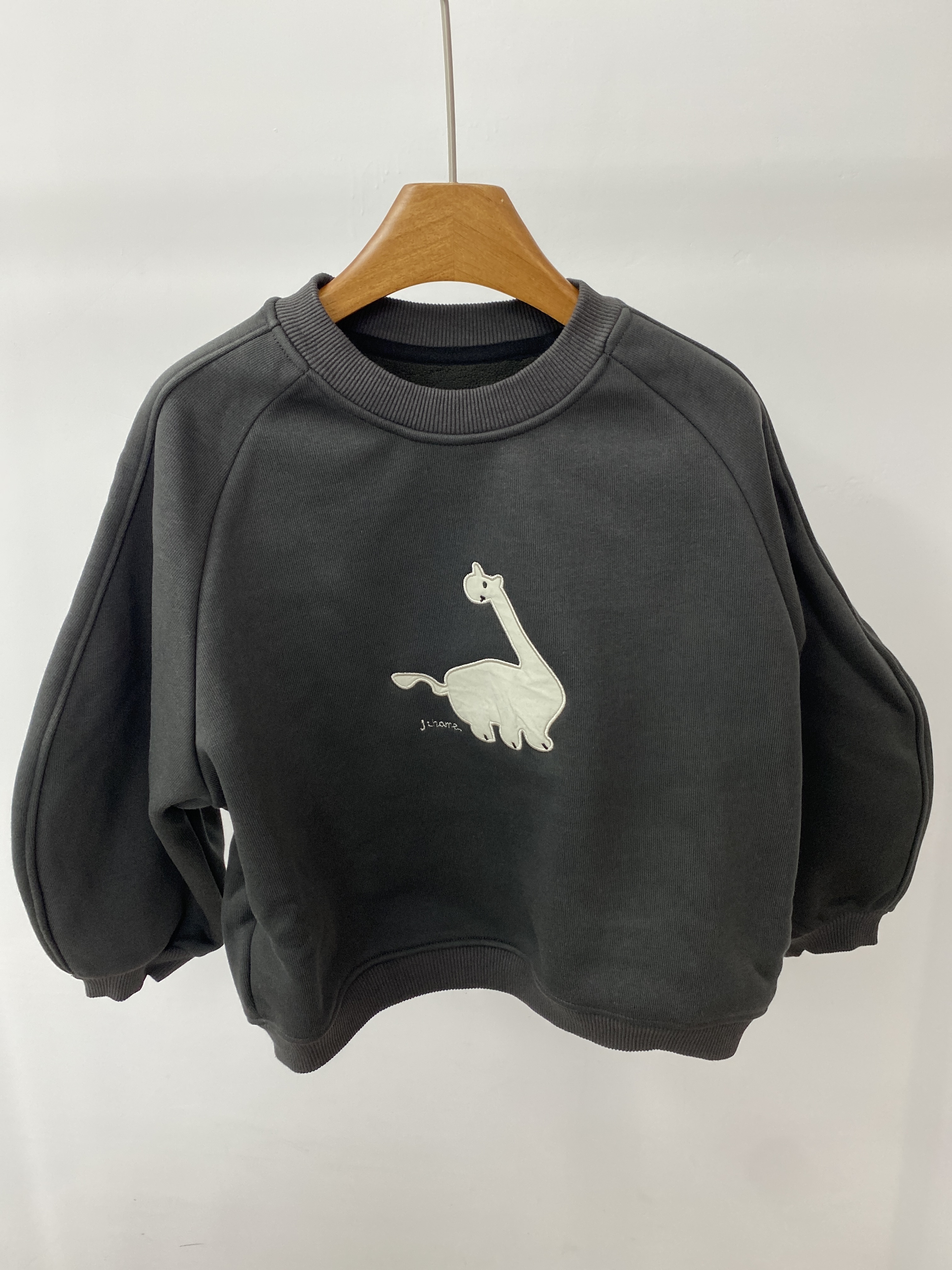 A03779加絨恐龍大學T