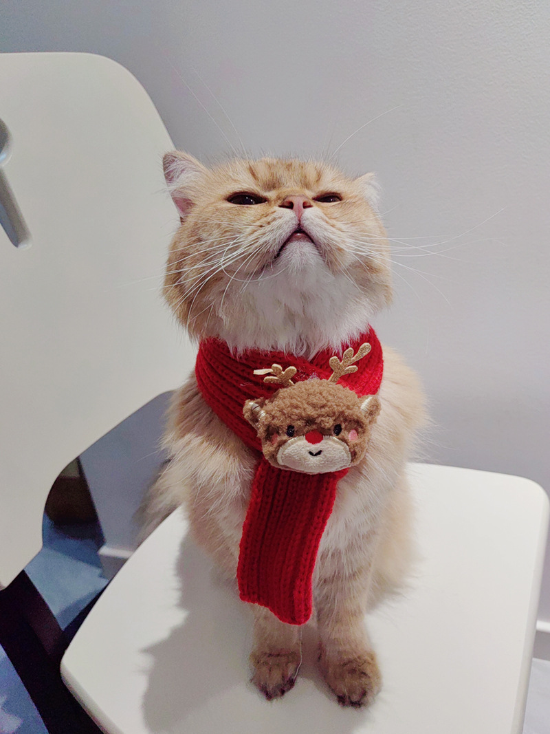 寵物紅色聖誕圍巾 - 糜鹿 (任選2件$68)