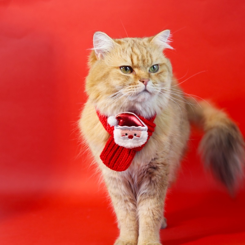 寵物紅色聖誕圍巾 - 聖誕老人 (任選2件$68)