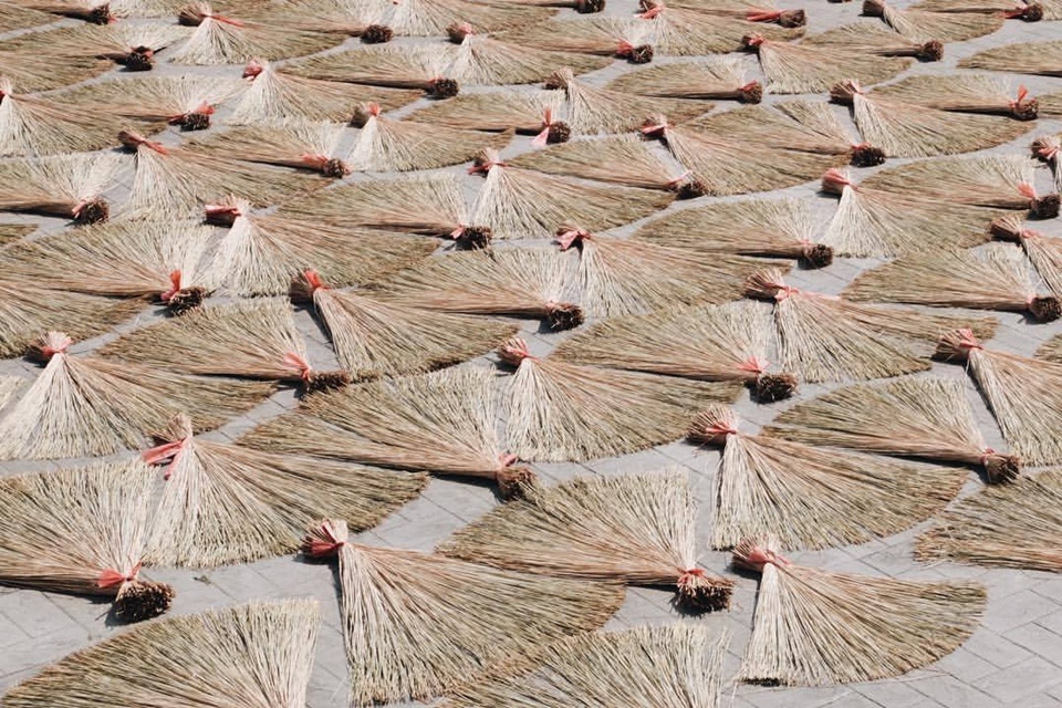 藺草就像自然界的「吸濕排濕機」，莖裡充滿細小孔隙，就像裝了無數個微型呼吸孔。