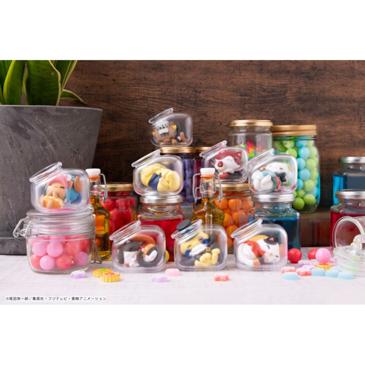 [MEGA CAT]《海賊王》晚安! 瓶中海賊喵