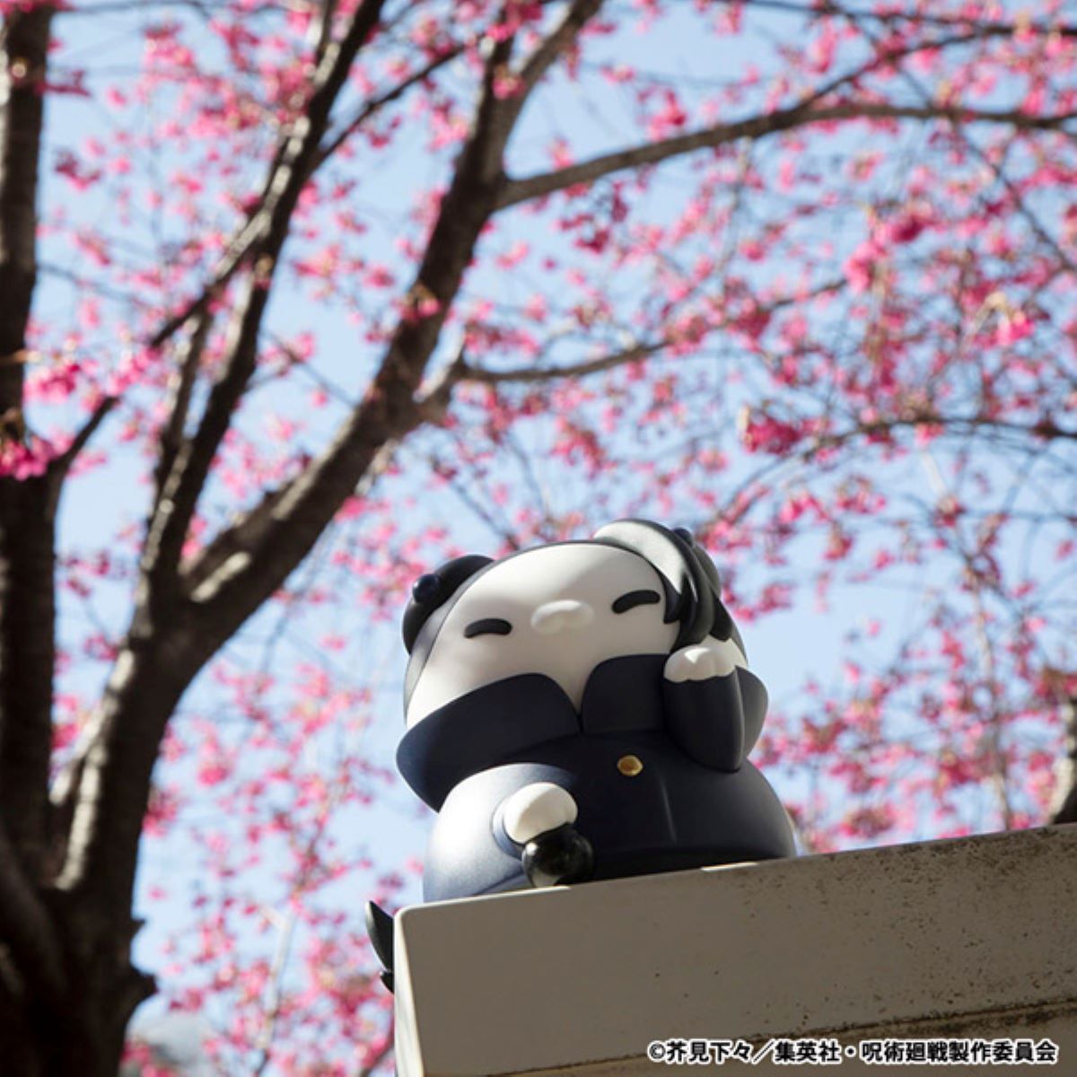 [MEGA CAT]《咒術迴戰 懐玉玉折》非常大的夏油傑喵