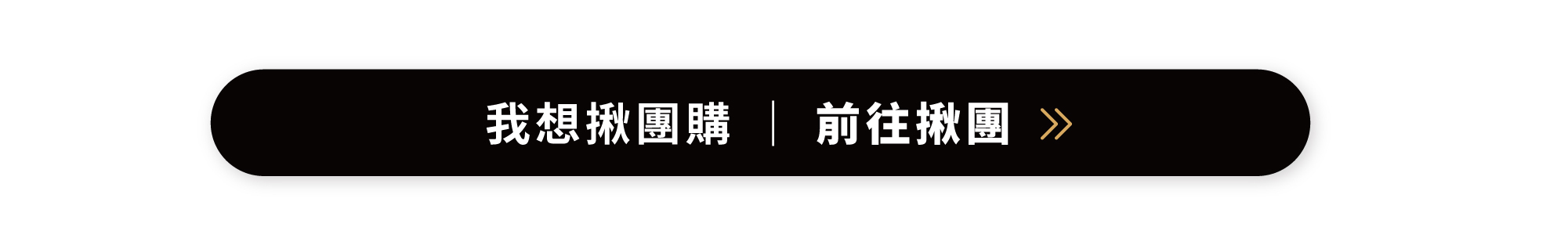 GAGEL太空能量膠max小金膠_團購