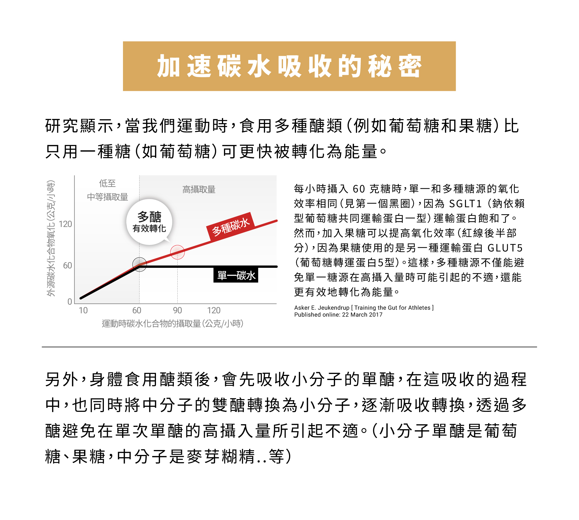 GAGEL太空能量膠max小金膠加速碳水吸收的秘密