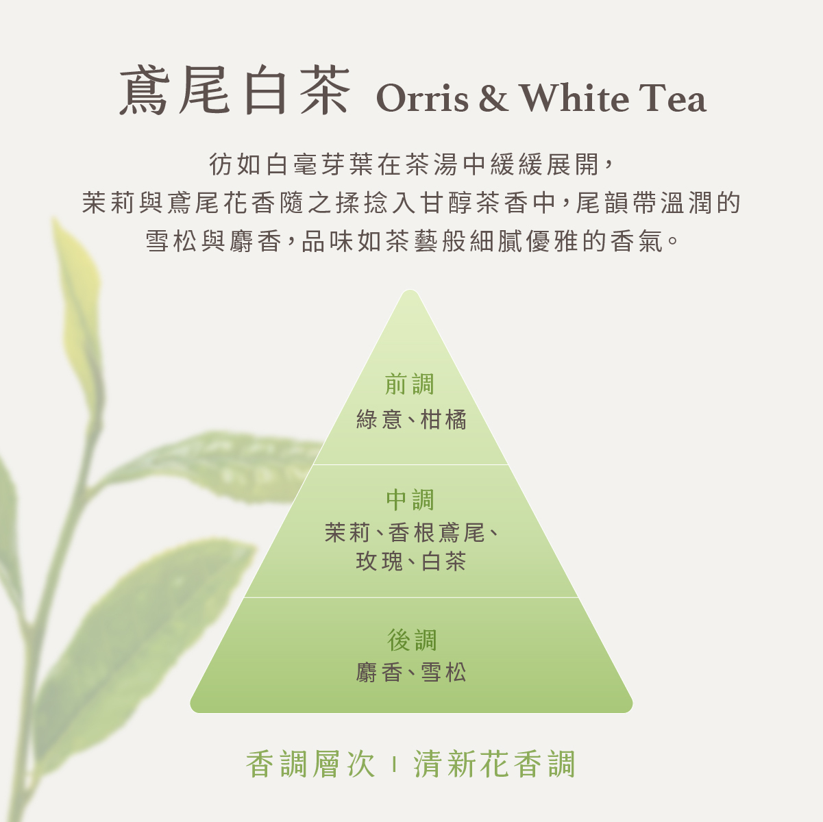 鳶尾白茶洗沐組500ML (附禮盒提袋)