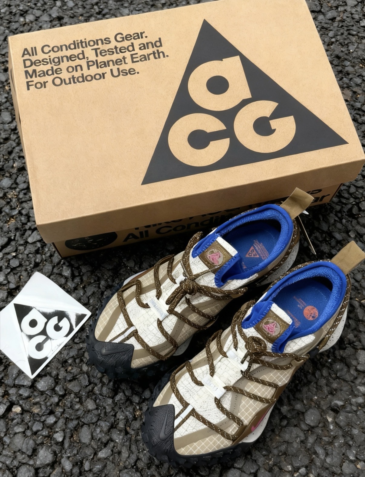 男鞋 NIKE ACG MOUNTAIN FLY LOW GTX SE 咖色 登山 越野 GORE-TEX 防水 機能 戶外鞋 運動鞋【IM6672-262】