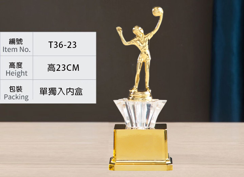 訂製排球金底獎盃 升級送彩色排版金貼 T36