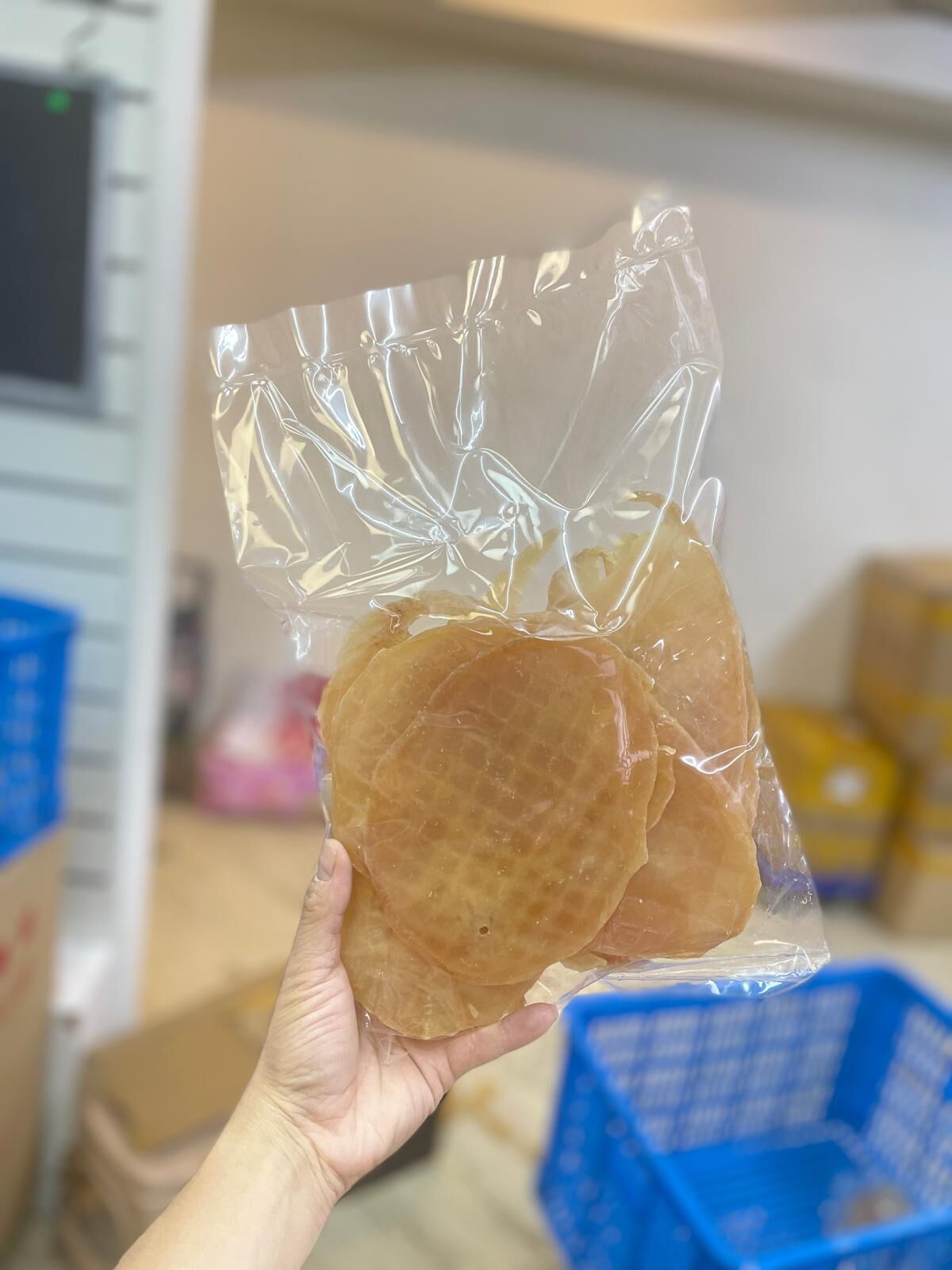 (5443) 南美黃金大螺片600G