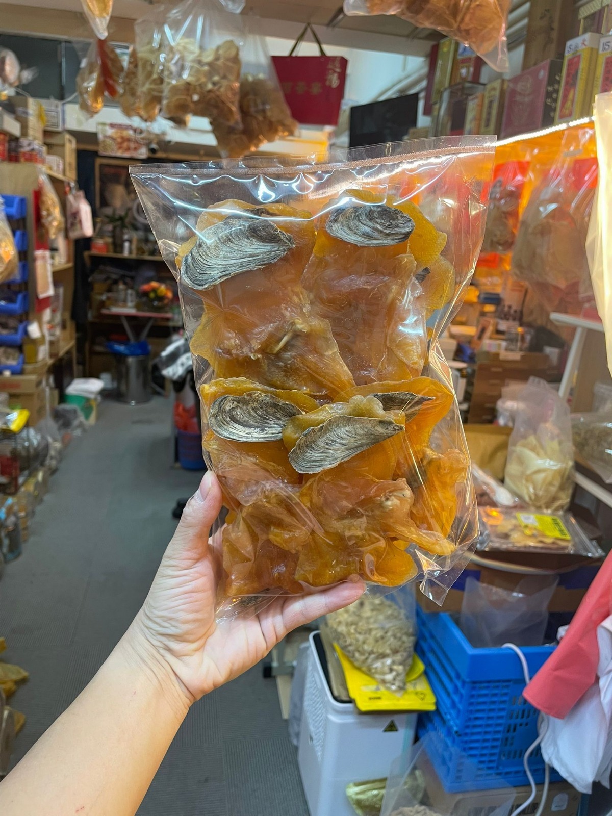 (5446) 10-12 頭美國有掩大螺頭600G