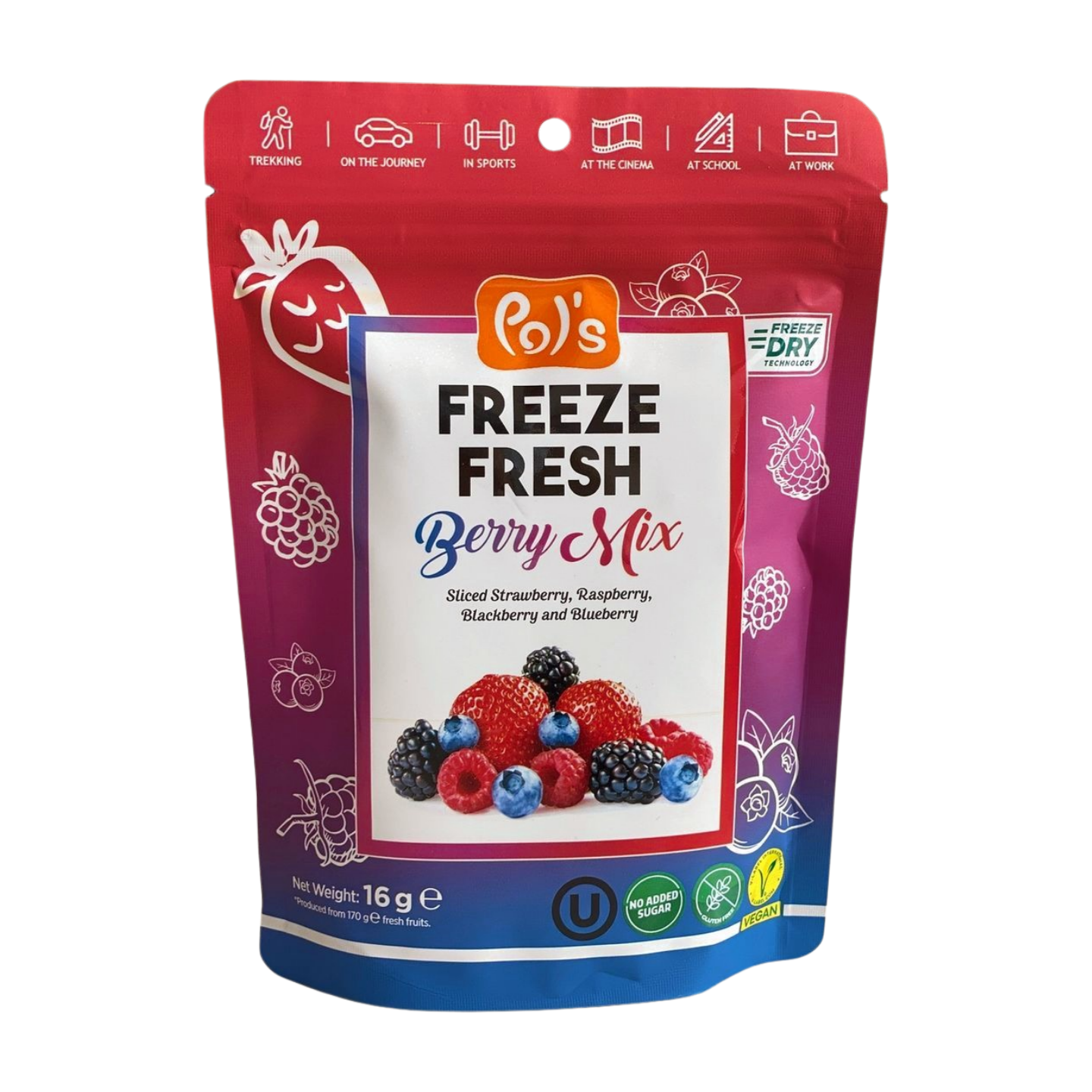 冷凍雜莓乾 16克 (最佳食用日期為 2027/4/30)