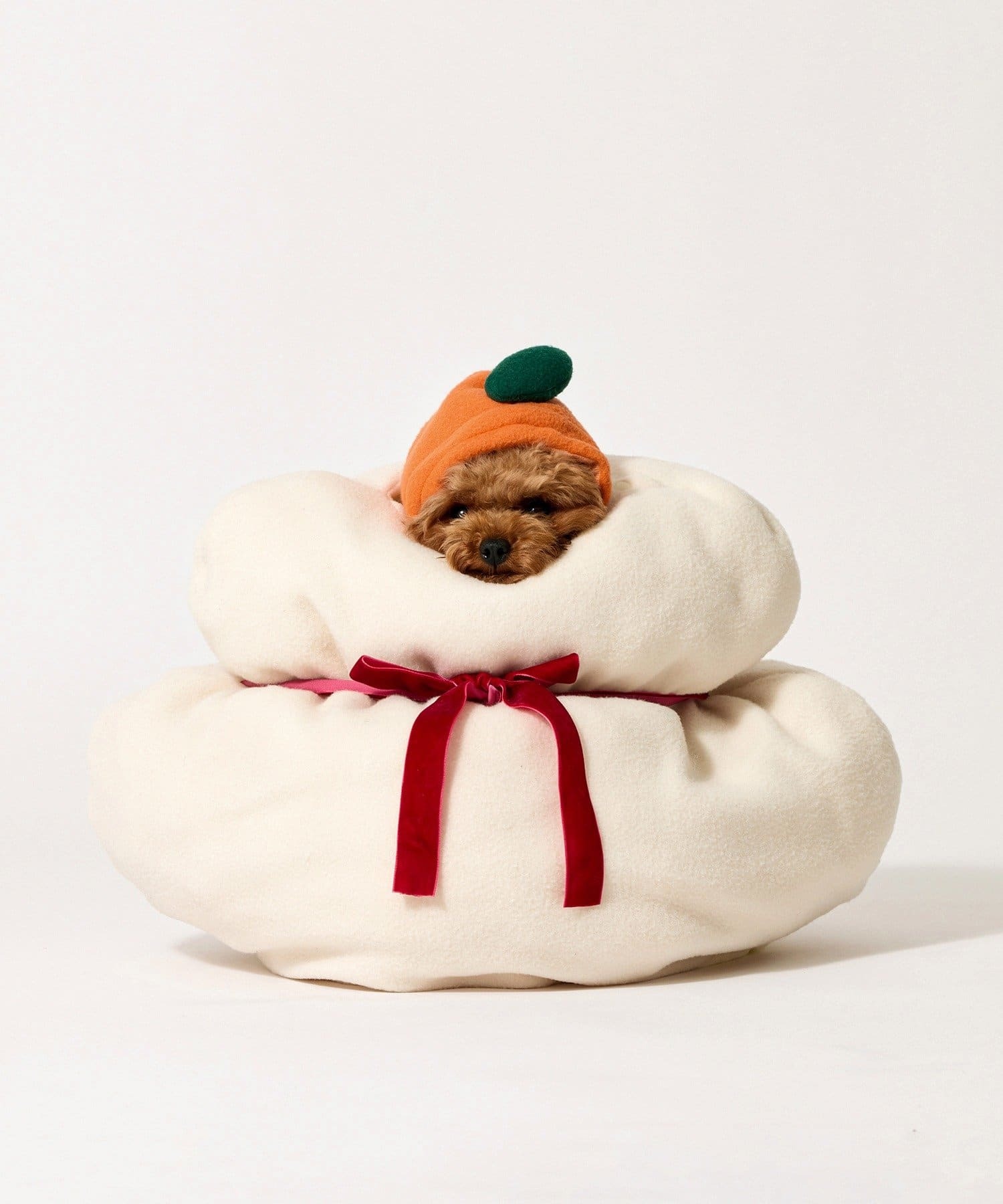 可愛的新年寵物服飾