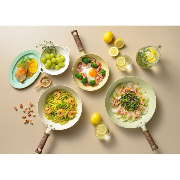 日本陶瓷塗層煎鍋