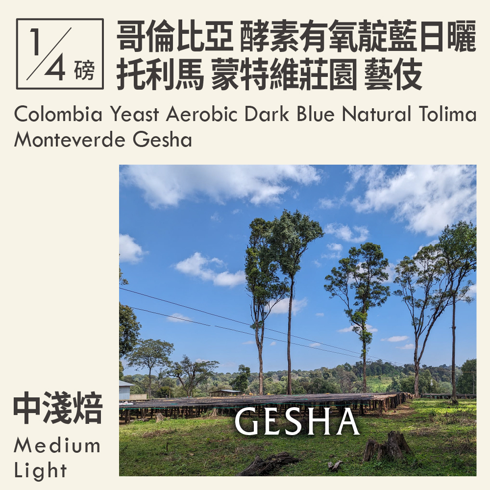 哥倫比亞 酵素有氧靛藍日曬 托利馬 蒙特維莊園 藝伎 0.25磅