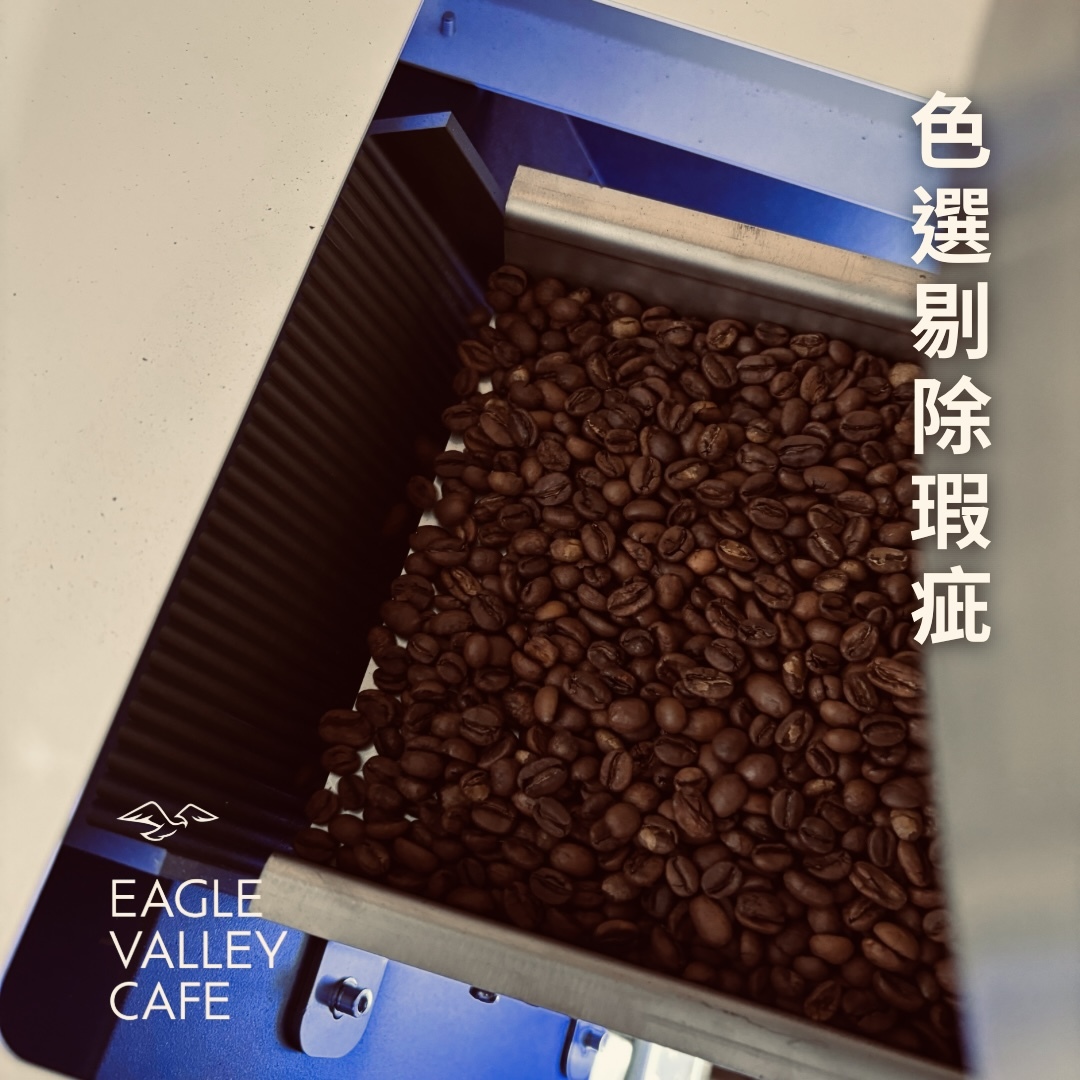 衣索比亞 日曬 古吉 罕貝拉 丹曦 雪伊莎 G1 淺焙 咖啡豆