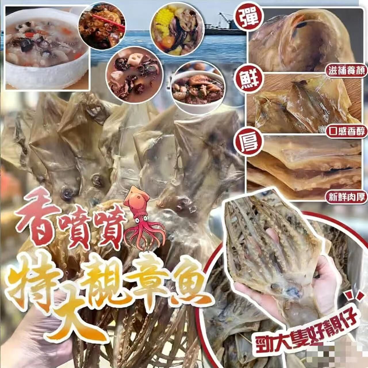 H16399 香噴噴特大靚章魚 300g