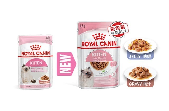 Royal Canin FHN 幼貓營養主食濕糧 (肉汁)【85gx12包】