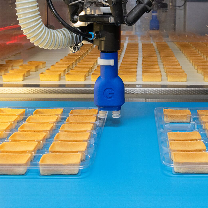 Forbo Siegling Fullsan (Homogenized belt)