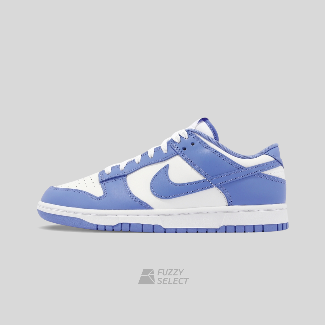 【逢甲FUZZY】Nike Dunk Low "Polar Blue" 北極藍 DV0833-400