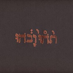 Godspeed You! Black Emperor《Slow Riot For New Zero Kanada》（180g LP）