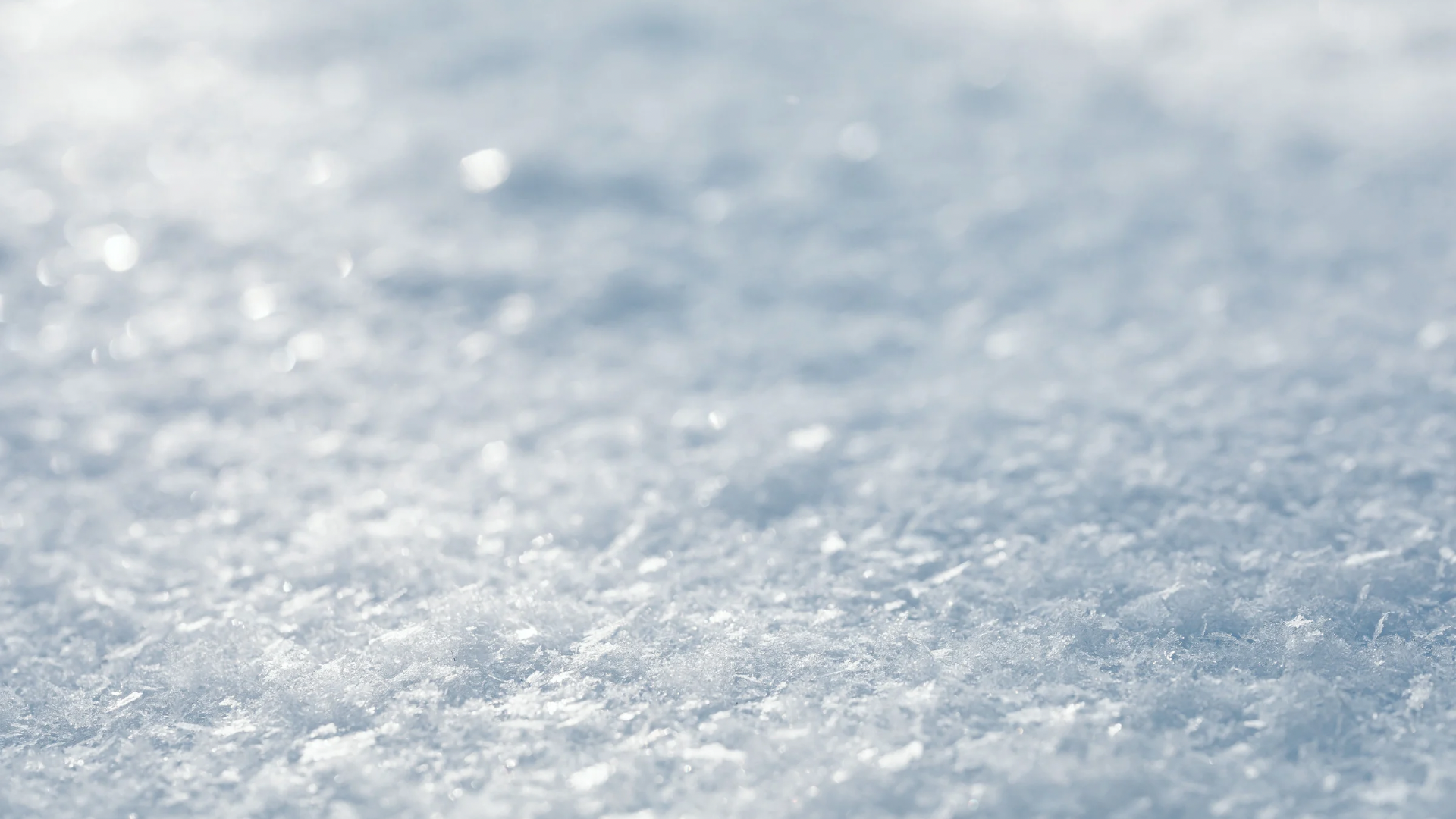 大雪,冬日進補,中藥雞湯,藥膳雞湯,雞湯,薑汁,