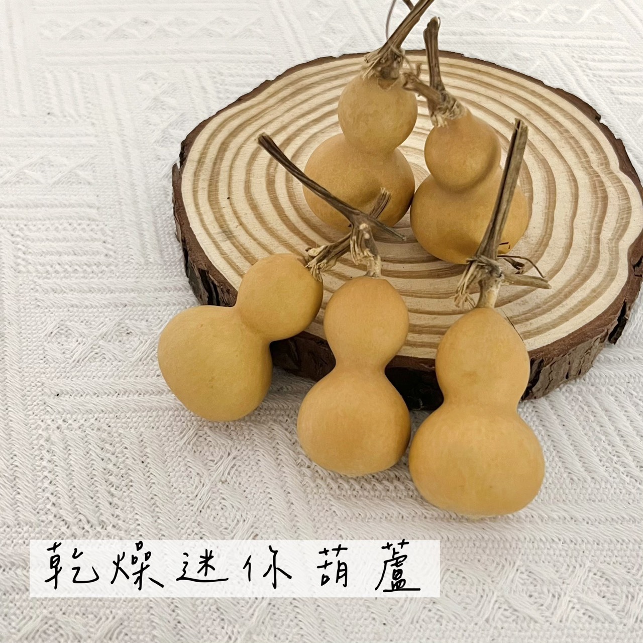 乾燥迷你葫蘆(5入)